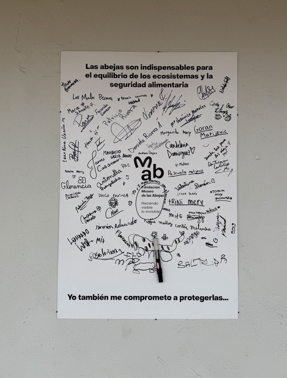 60247BE6-EFCE-4F70-B4AC-D805B161EA54_1_105_c