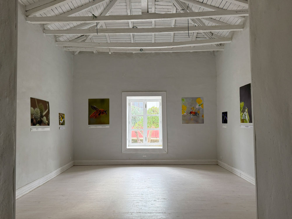 673D2BA0-CA3C-4E74-B97C-26A286976D0F_1_102_o