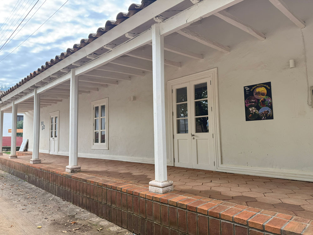 691BC274-C227-4C49-8DAC-F71C3A0417F8_1_102_o