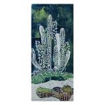 CACTACEAE_00_990