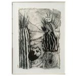 CACTACEAE_01_990