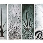 CACTACEAE_02_990