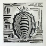 CACTACEAE_06_990