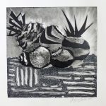 CACTACEAE_07_990
